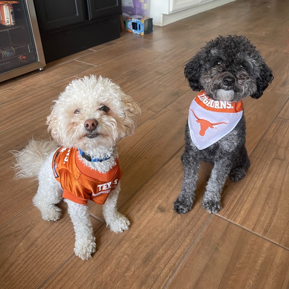 Meet your Posher, Emily